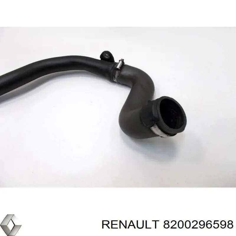Купити 8200296598 Renault (RVI) 