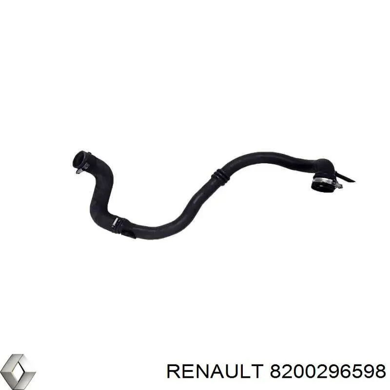  8200296598 Renault (RVI)