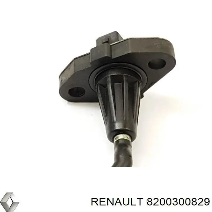  8200300829 Renault (RVI)