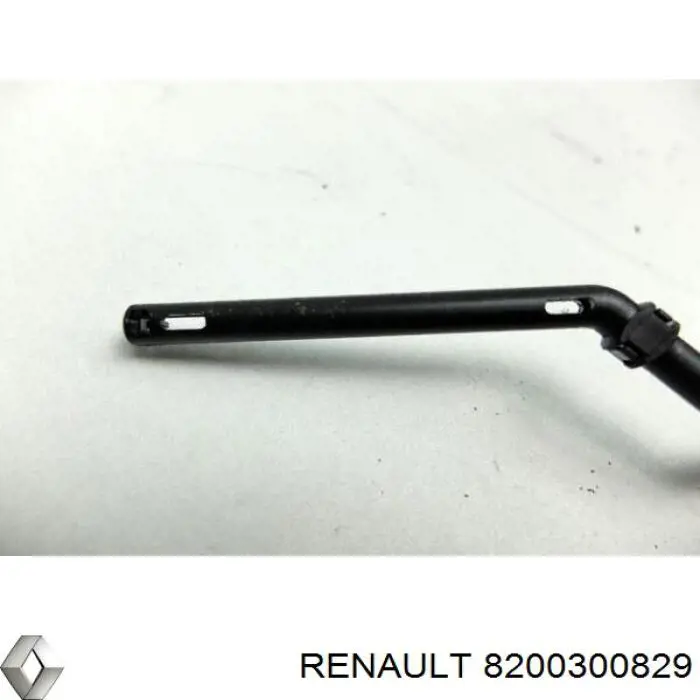 Купити 8200300829 Renault (RVI) 