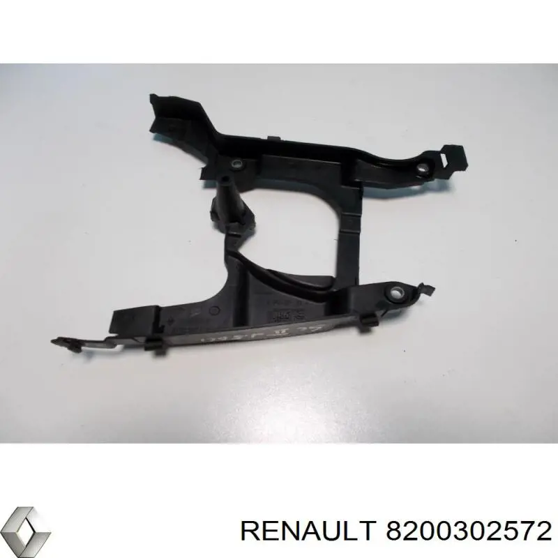  8200302572 Renault (RVI)
