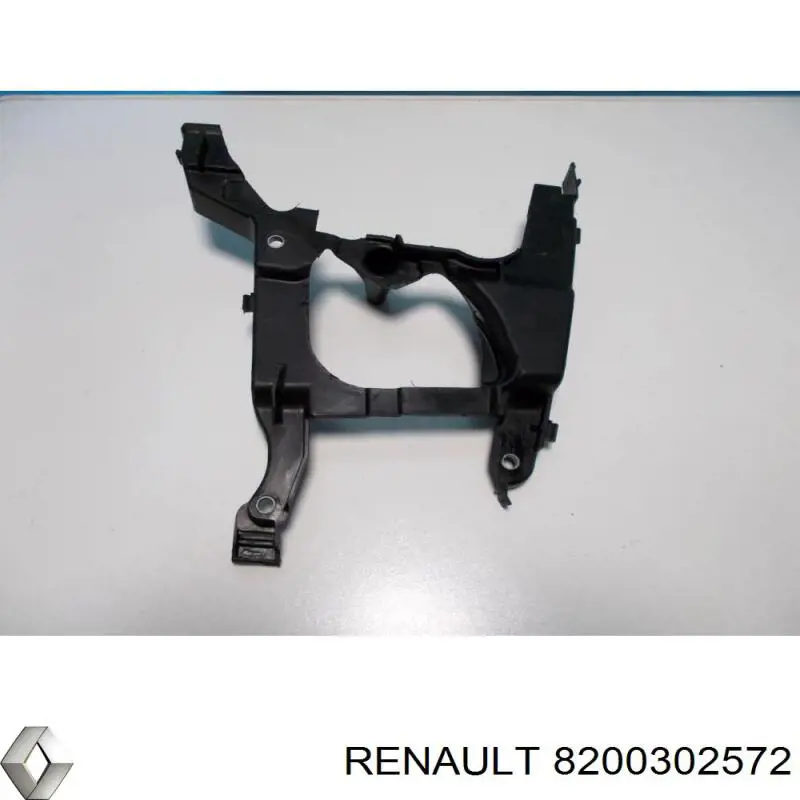  8200302572 Renault (RVI)