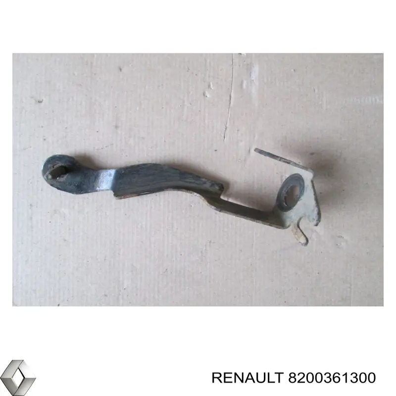  8200361300 Renault (RVI)