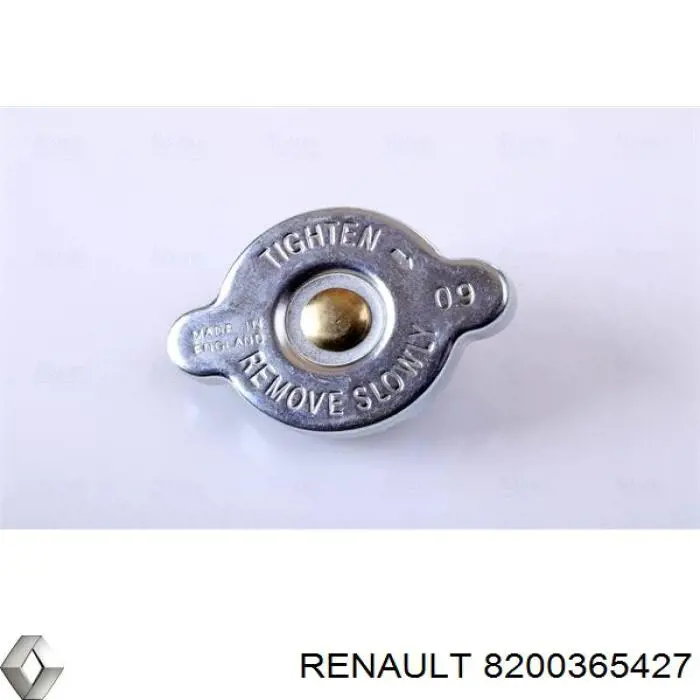 8200365427 Renault (RVI) Радіатор охолодження двигуна