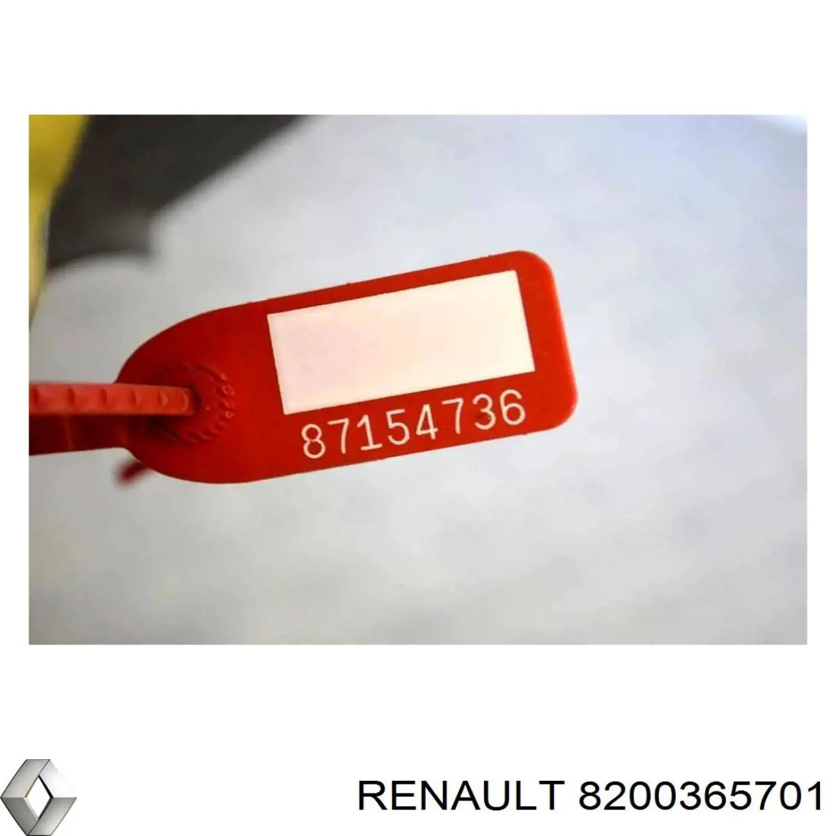  8200365701 Renault (RVI)