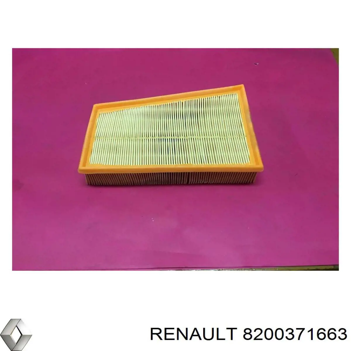 Купити 8200371663 Renault (RVI) Автомобільний фільтр повітря