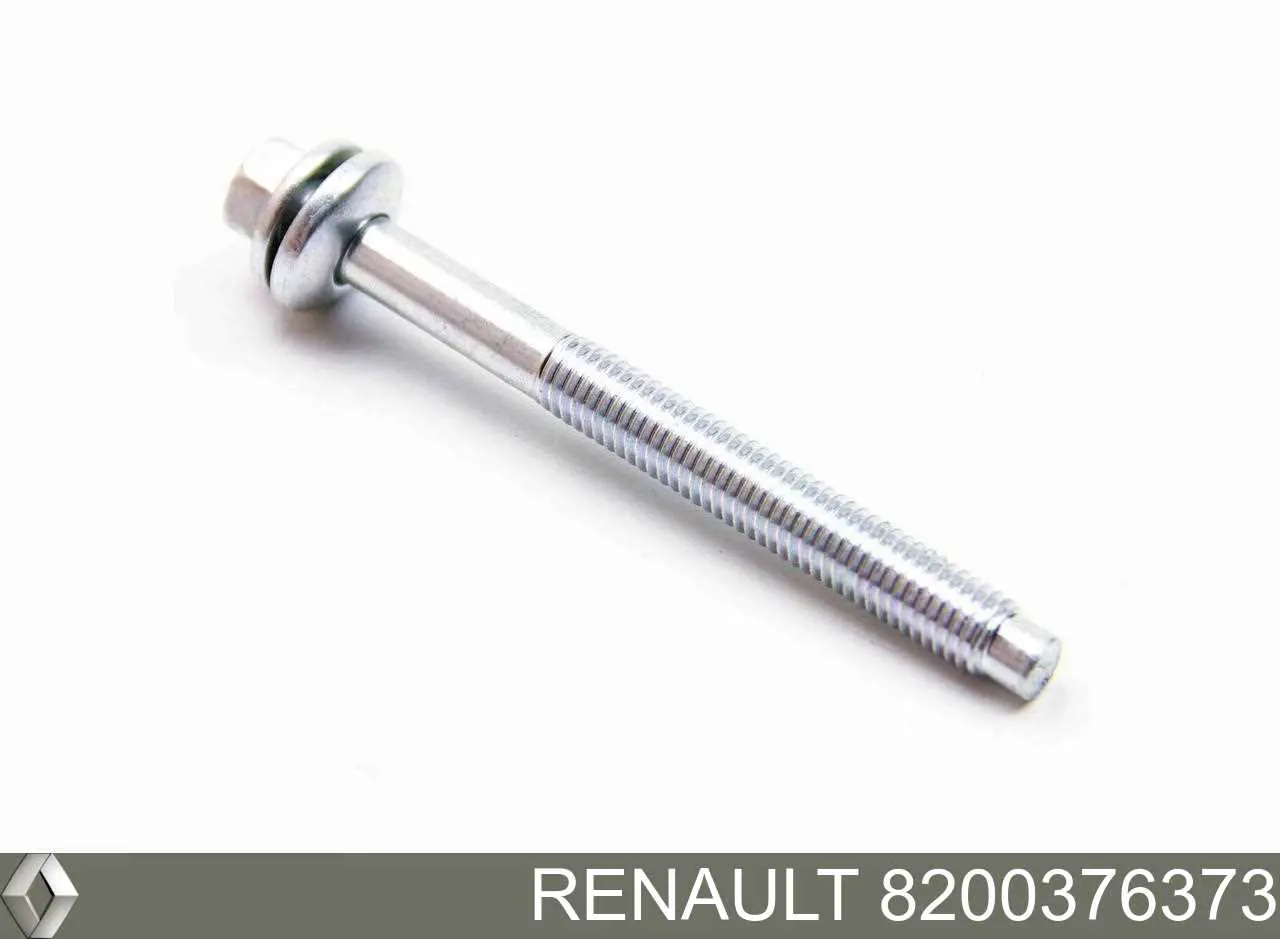 Болт кріплення форсунки Renault (RVI) 8200376373 ціна, від 3.08 USD