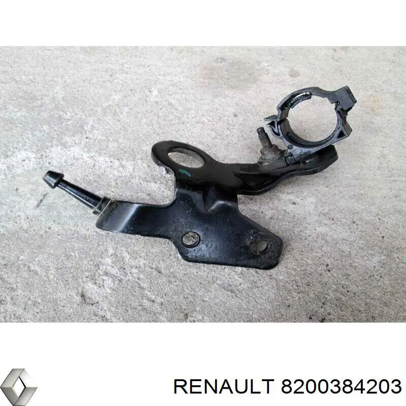  8200384203 Renault (RVI)