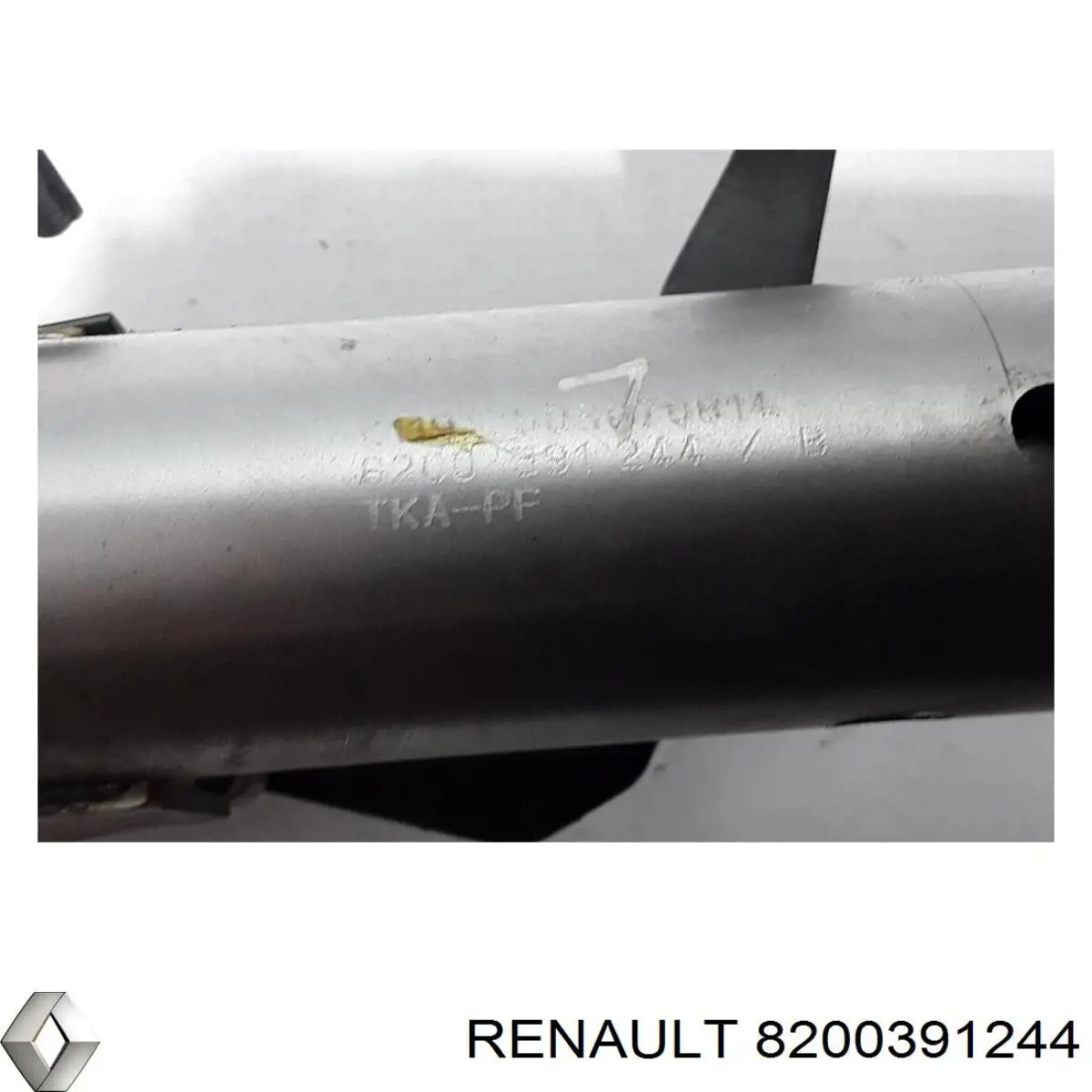 8200391244 Renault (RVI) 
