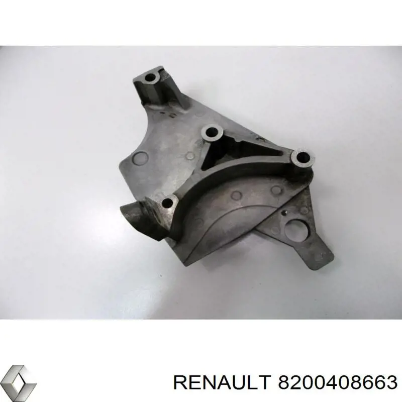8200408663 Renault (RVI) 