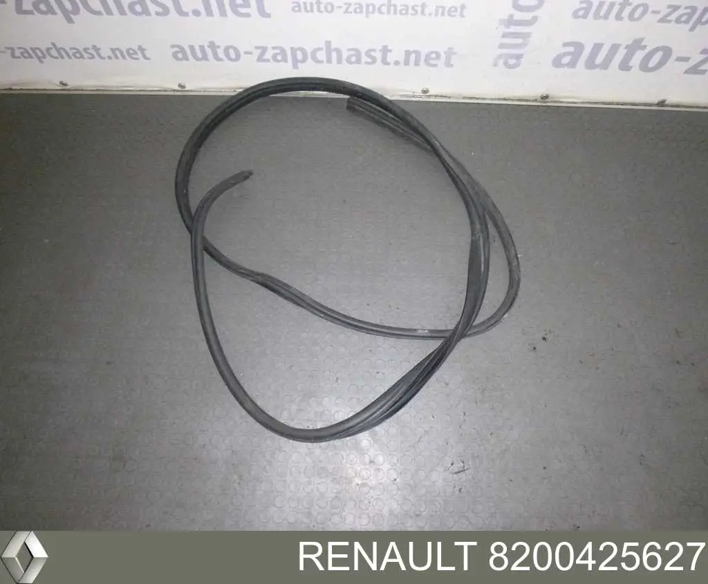 Купити 8200425627 Renault (RVI) 