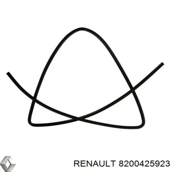 8200425923 Renault (RVI) Рама лобового скла