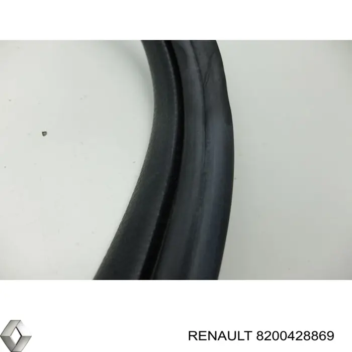 Купити 8200428869 Renault (RVI) 
