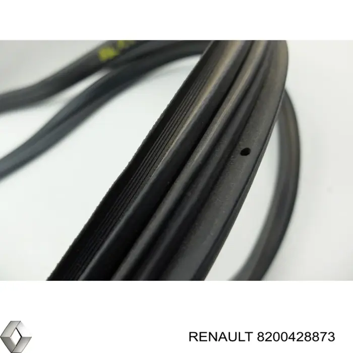 Купити 8200428873 Renault (RVI) 