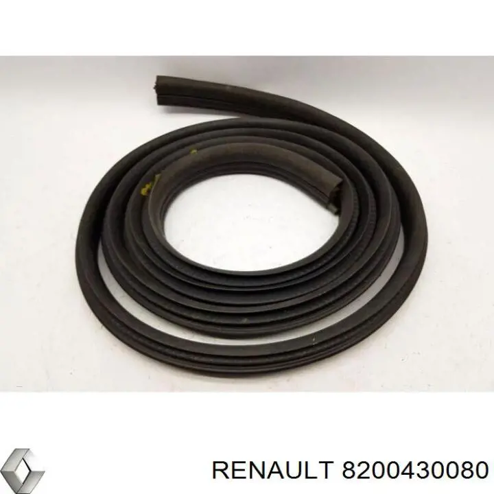 Купити 8200430080 Renault (RVI) 
