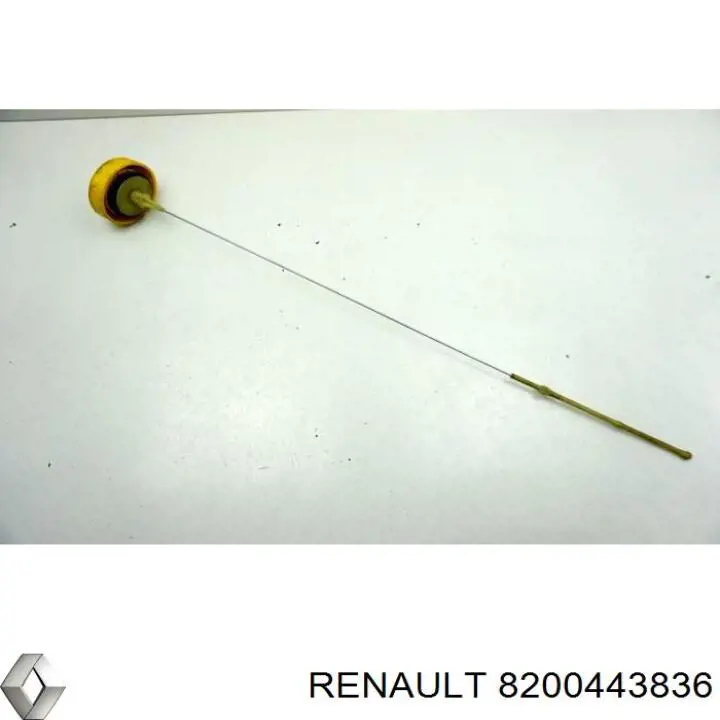 Купити 8200443836 Renault (RVI) Щуп рівня олії
