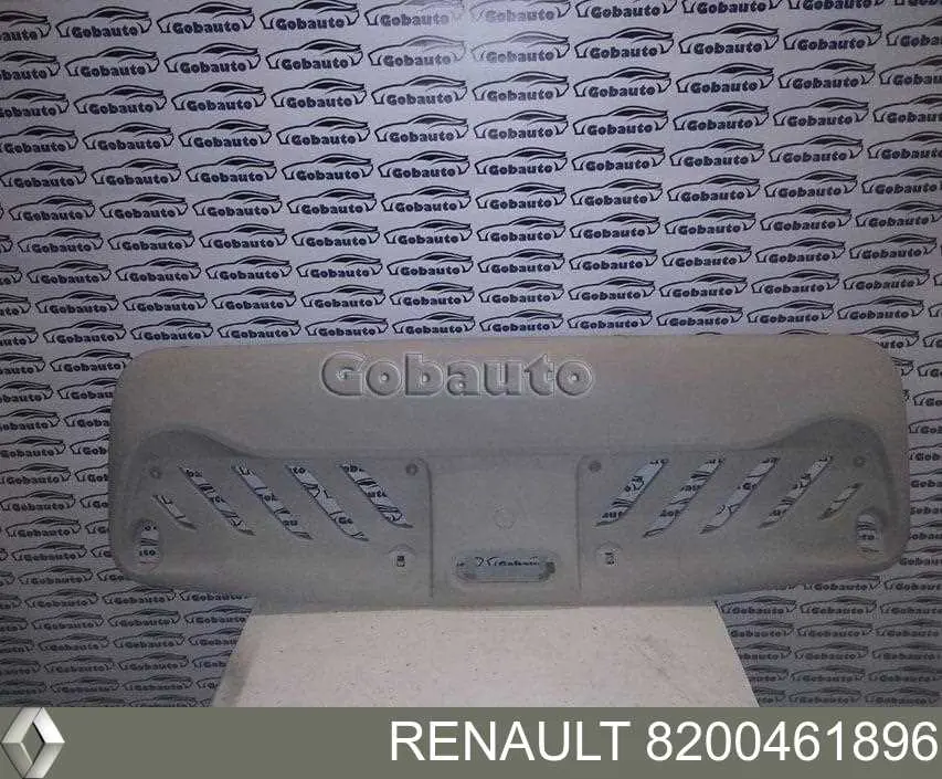 Купити 8200461896 Renault (RVI) 
