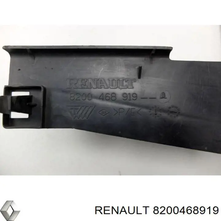  8200468919 Renault (RVI)