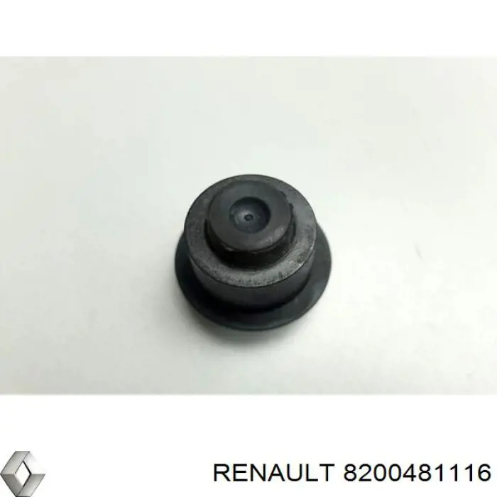  Renault (RVI) 8200481116 ціна, від 5.64 USD