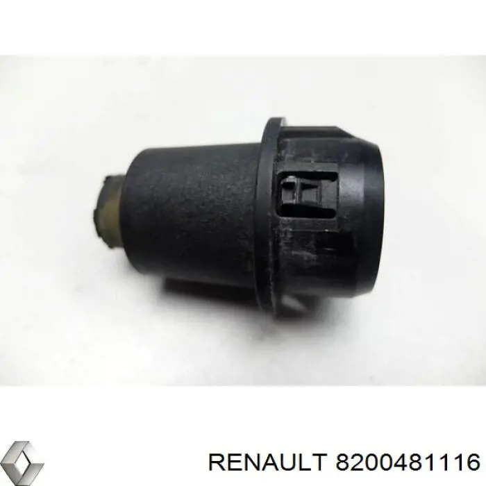  8200481116 Renault (RVI)