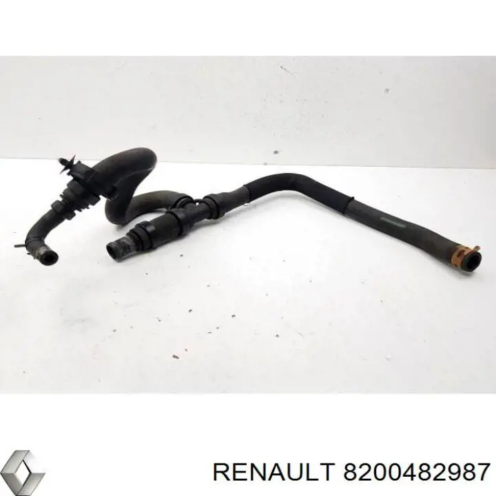  8200482987 Renault (RVI)