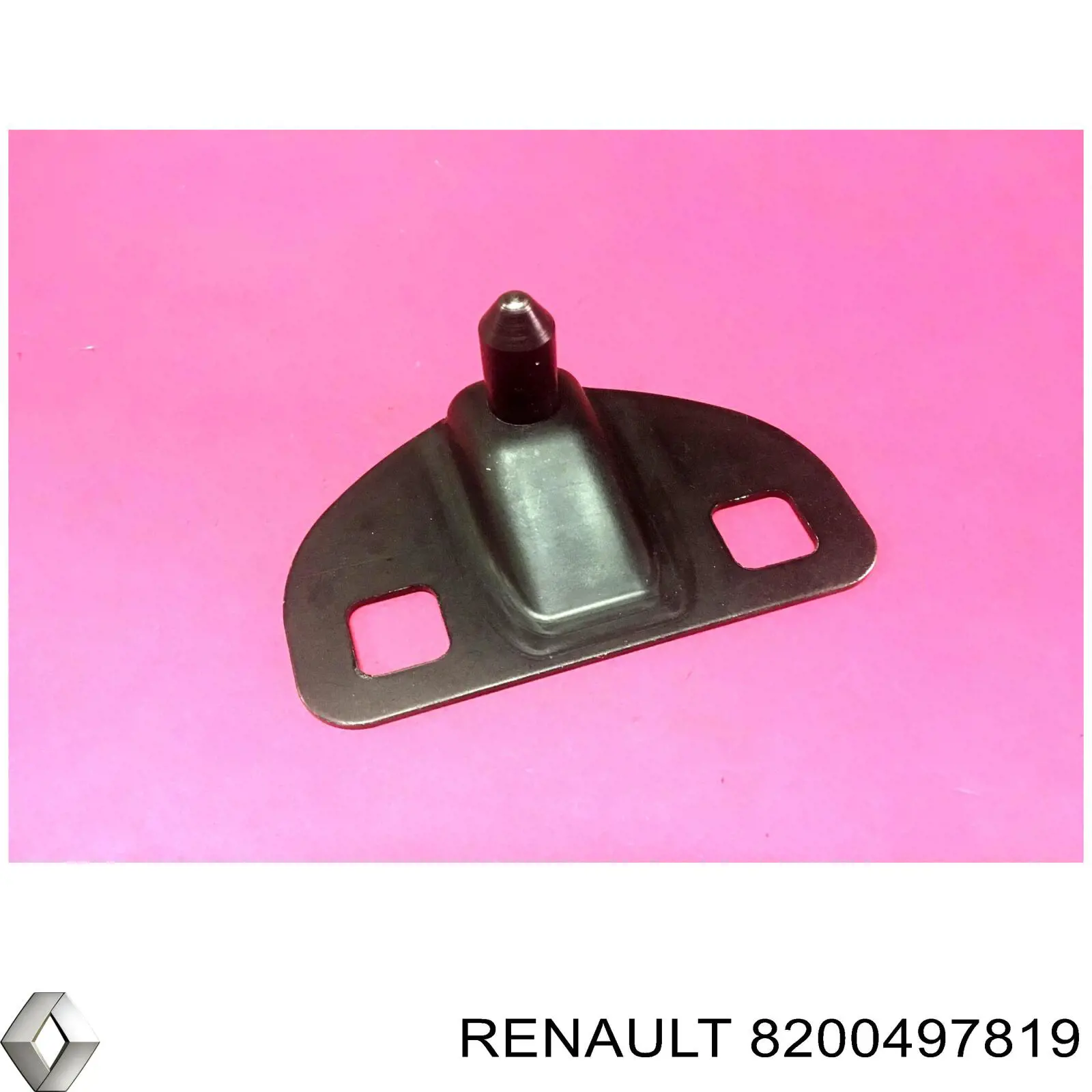 Відбійник дверей Renault Kangoo 2 (KW01) (Рено Канго)