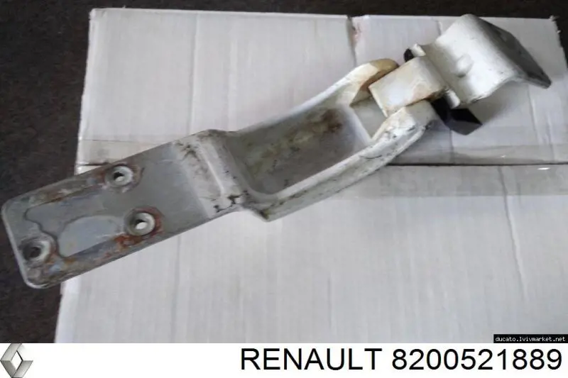 Петля задньої (двостулкової) двері, права нижня Renault (RVI) 8200521889 ціна, від 339.34 USD