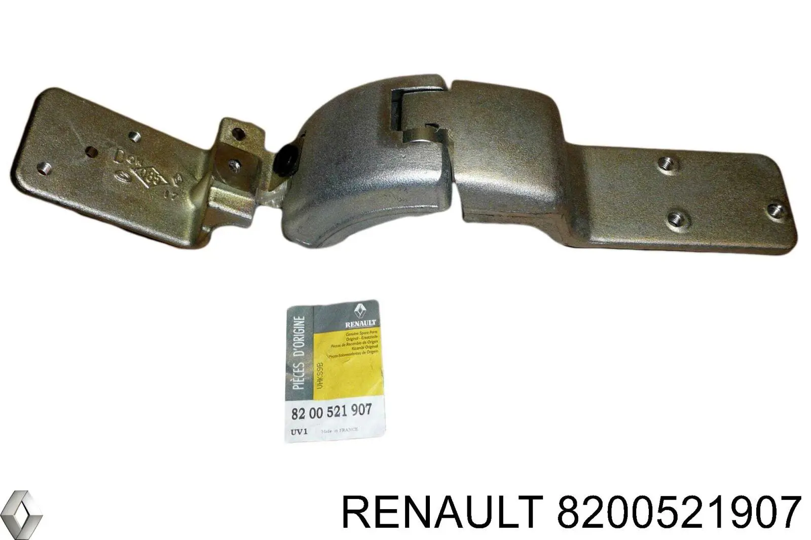  8200521907 Renault (RVI)