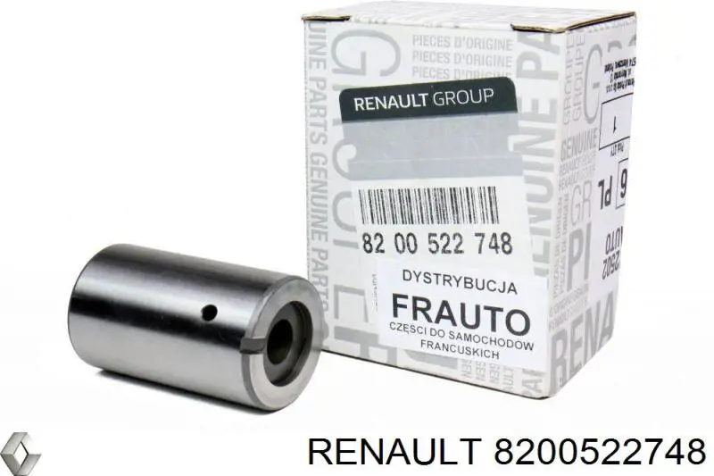 8200522748 Renault (RVI) 