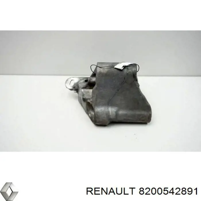 Купити 8200542891 Renault (RVI) 