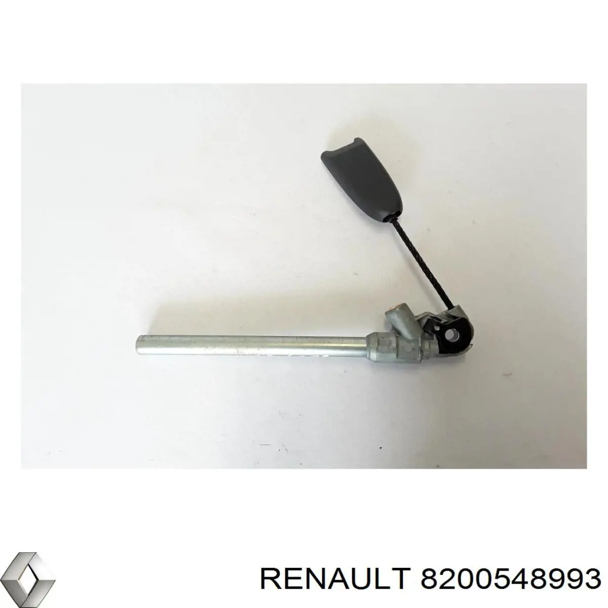  8200548993 Renault (RVI)