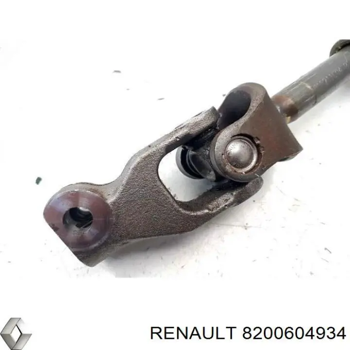 Купити 8200604934 Renault (RVI) 