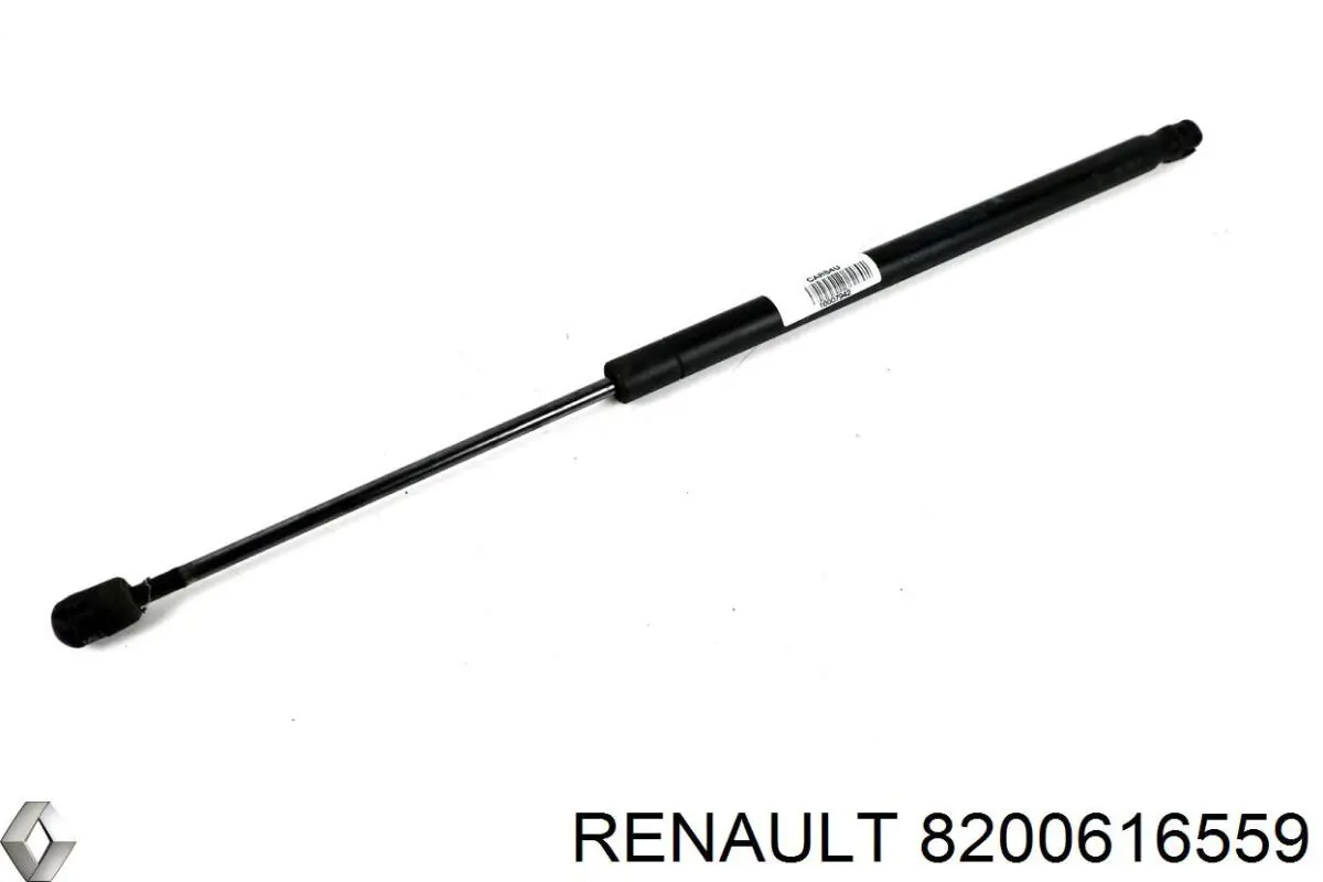 8200616559 Renault (RVI) 