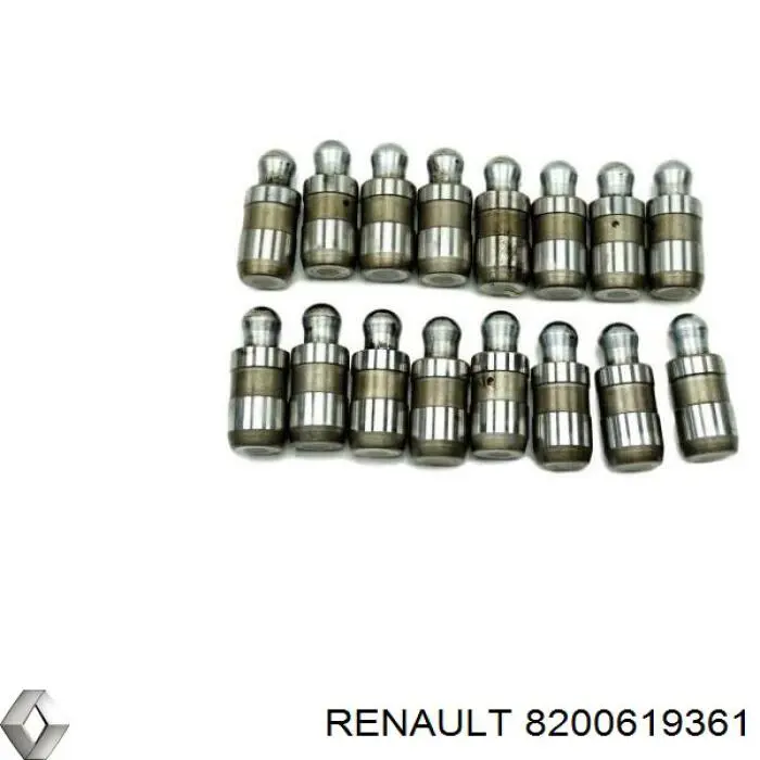 Розподільний вал впускний 8200619361 Renault (RVI)