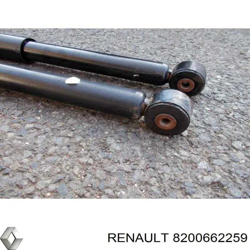 Амортизатор задній 8200662259 Renault (RVI)