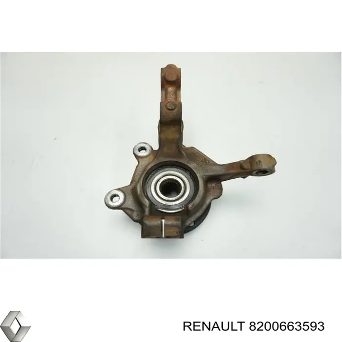 Купити 8200663593 Renault (RVI) 