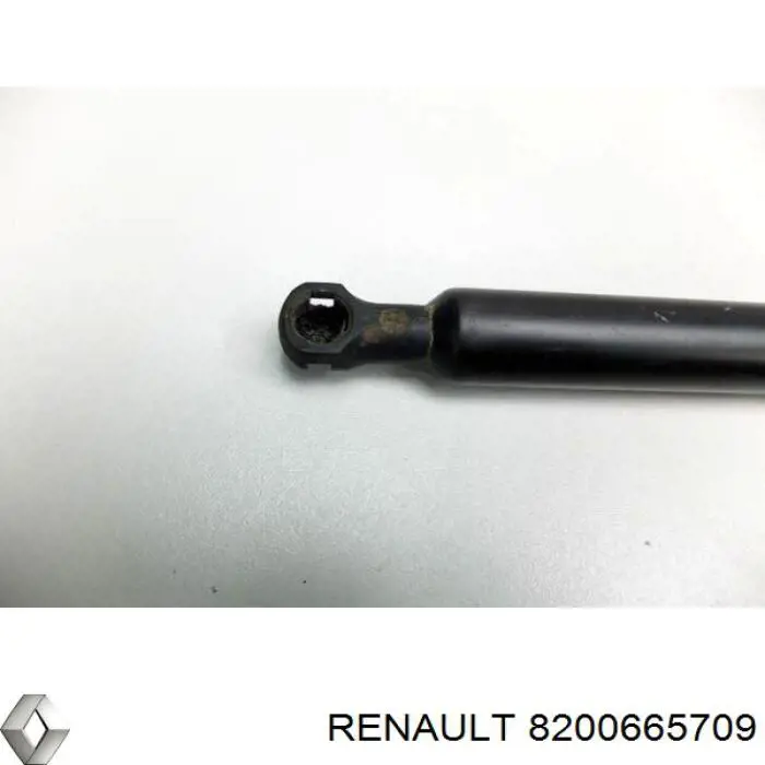 8200665709 Renault (RVI) Амортизатор кришки багажника / двері 3/5-ї задньої