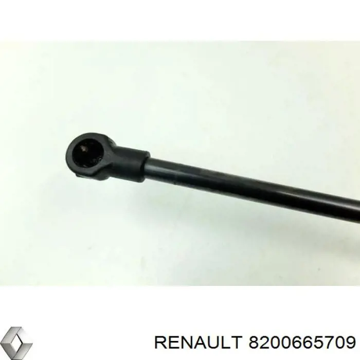 8200665709 Renault (RVI) Амортизатор кришки багажника / двері 3/5-ї задньої