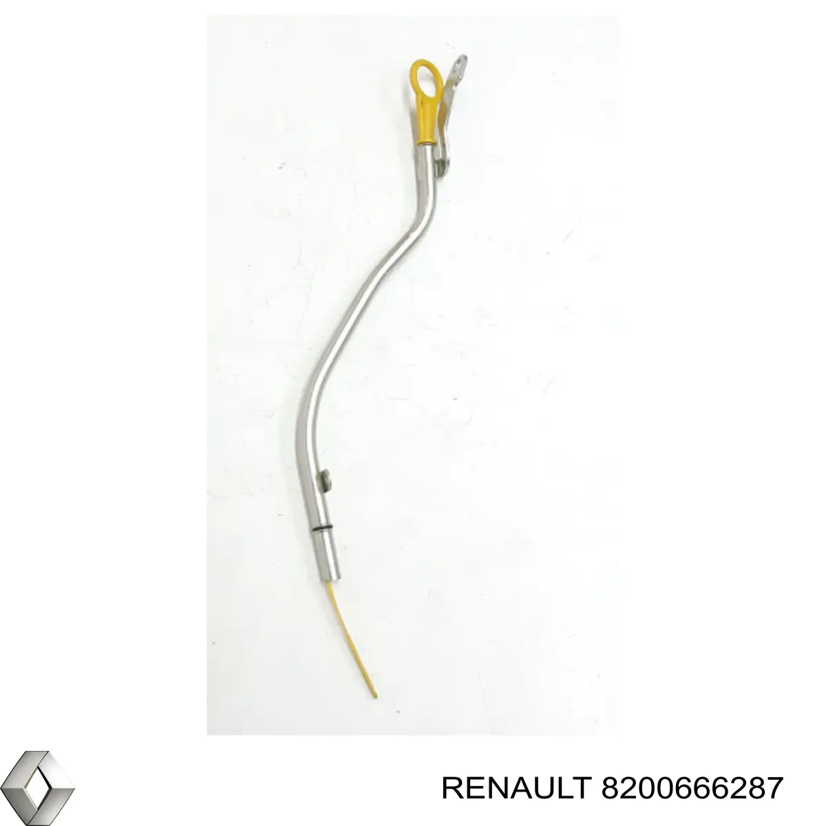  8200666287 Renault (RVI)