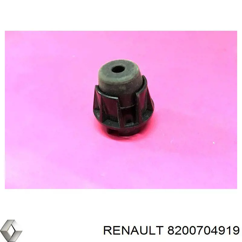 8200704919 Renault (RVI) 