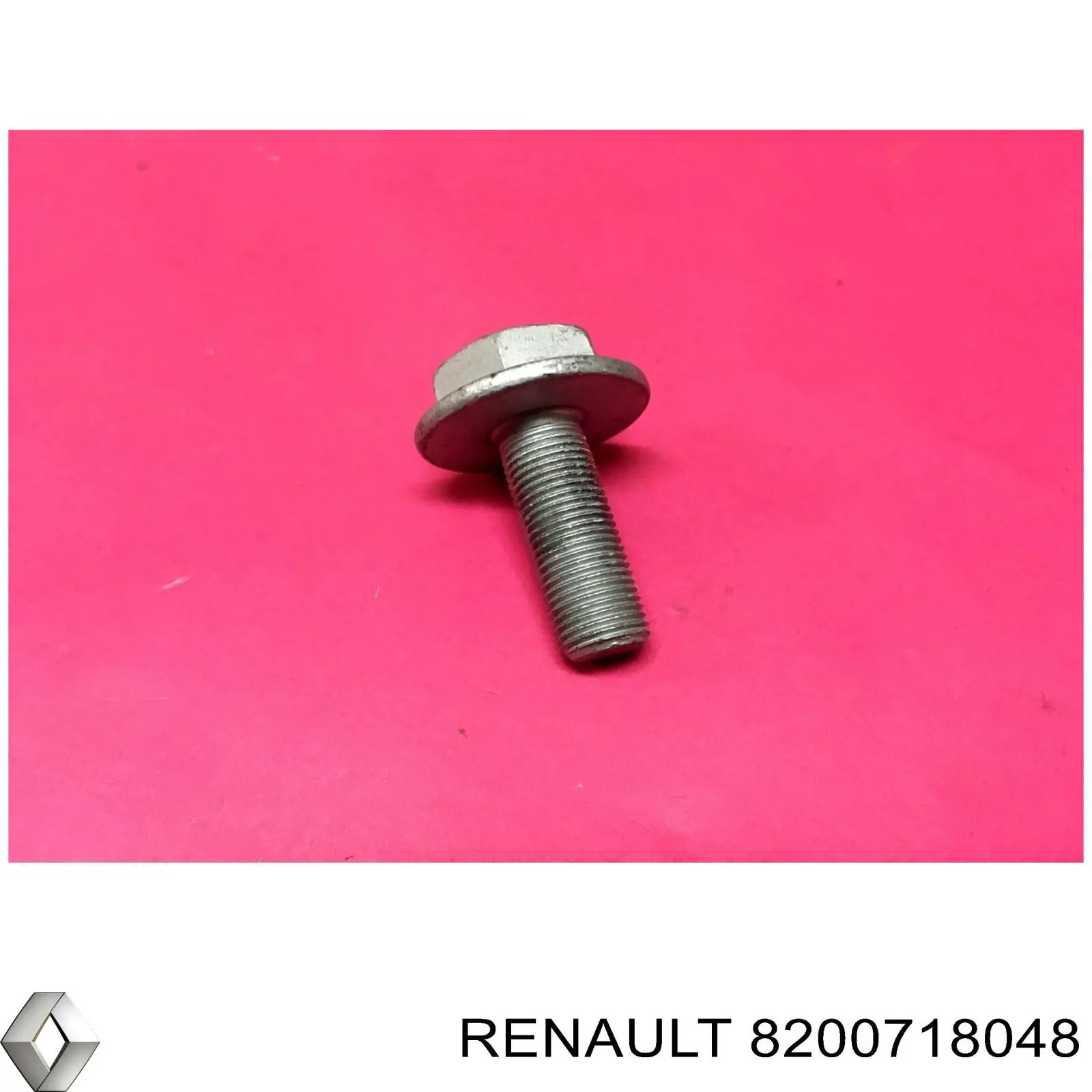 Болт/гайка кріплення 8200718048 Renault (RVI)