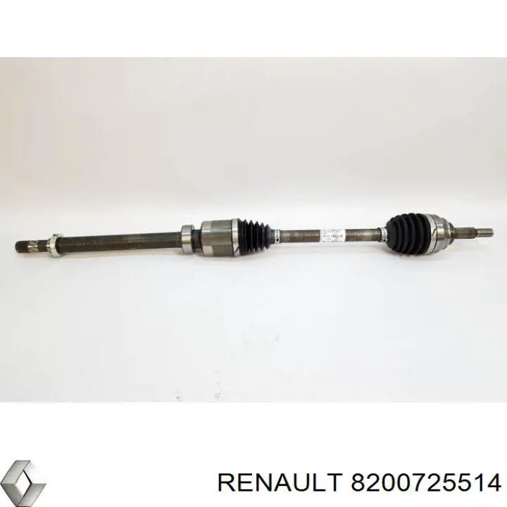  OJK55001 SNR