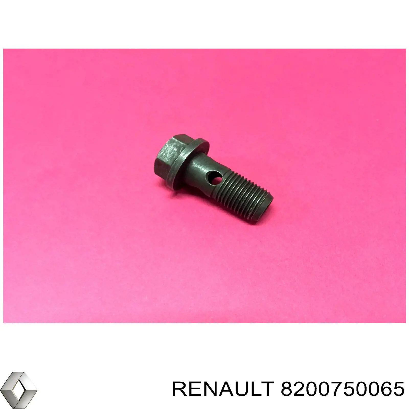 8200750065 Renault (RVI) болт трубки турбіни подачі масла