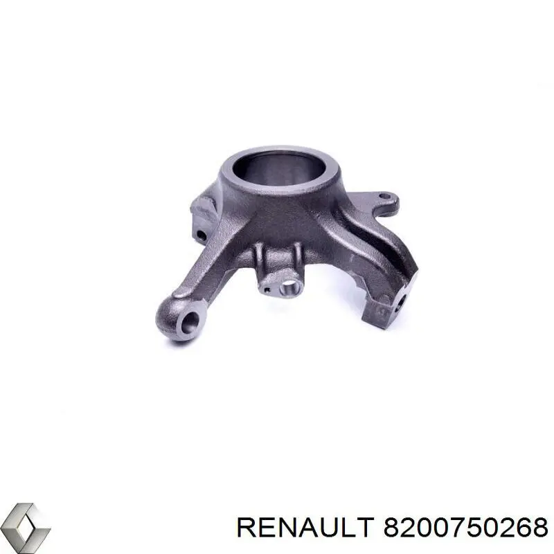 Купити 8200750268 Renault (RVI) Цапфа поворотного кулака