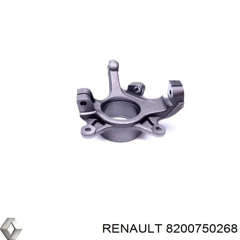 Цапфа передня ліва Renault (RVI) 8200750268