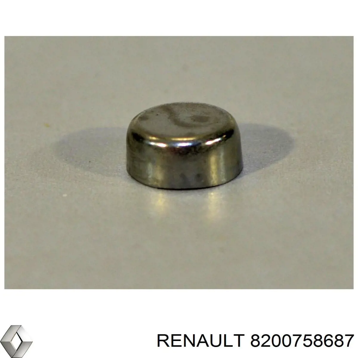 8200758687 Renault (RVI) заглушка гбц/блоку циліндрів