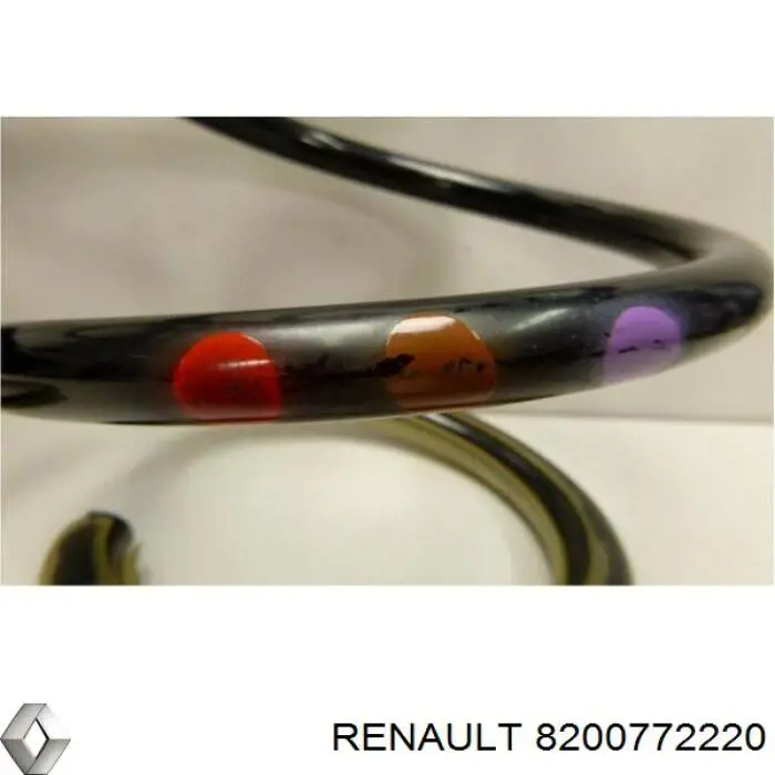 Пружина задня Renault (RVI) 8200772220 ціна, від 44.77 USD