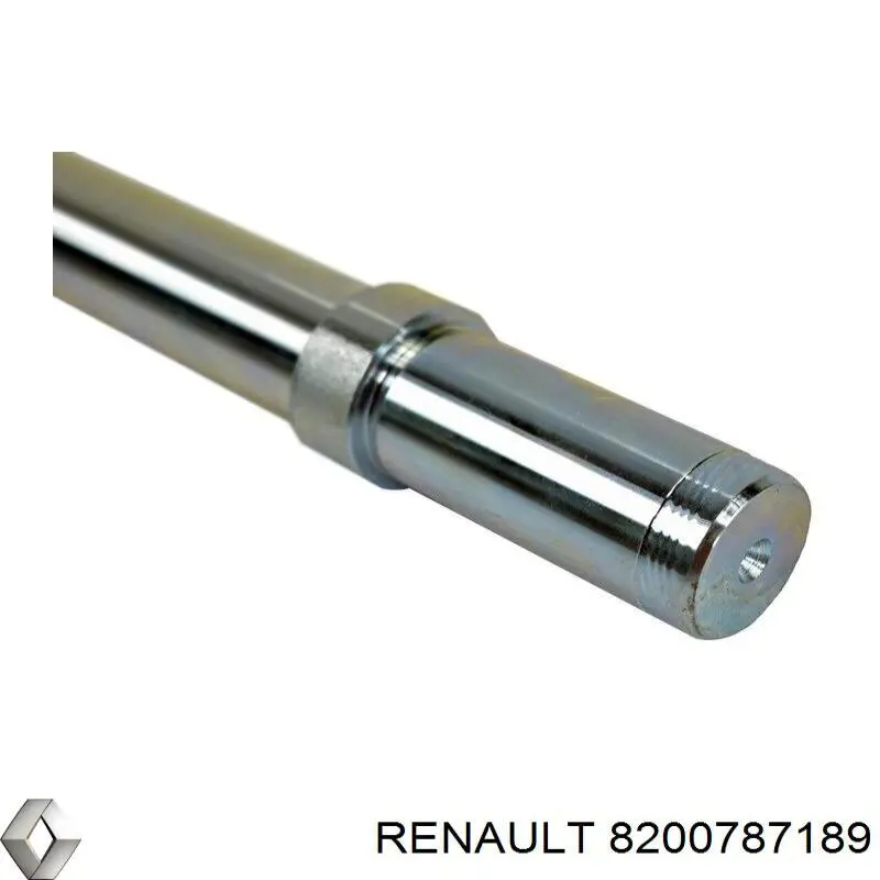 Купити 8200787189 Renault (RVI) Болт переднього важеля