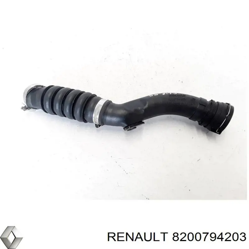  8200794203 Renault (RVI)