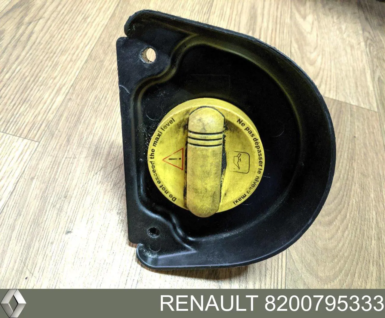 Купити 8200795333 Renault (RVI) 